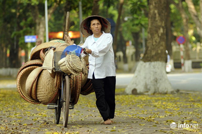 Du lịch Hà Nội: Thành phố đẹp dịu dàng mùa lá rụng - ảnh 10