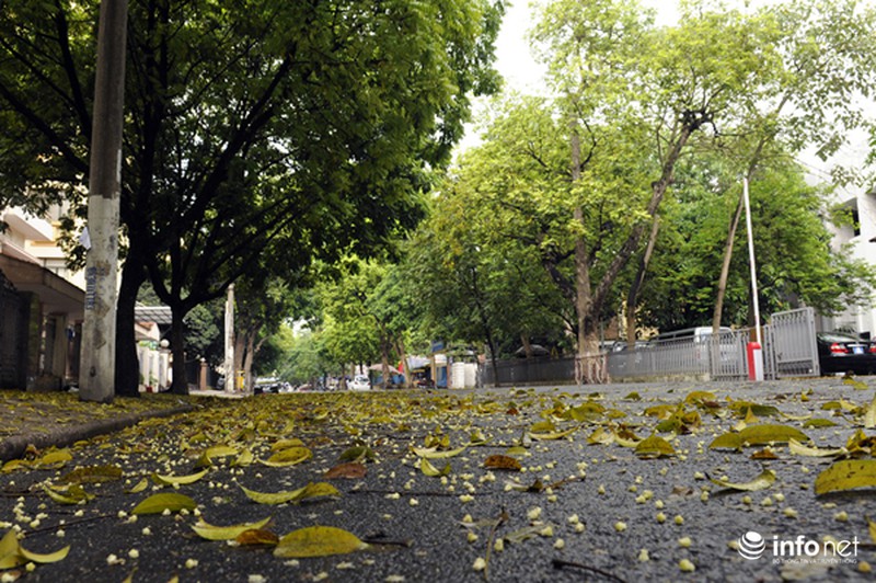 Du lịch Hà Nội: Thành phố đẹp dịu dàng mùa lá rụng - ảnh 2