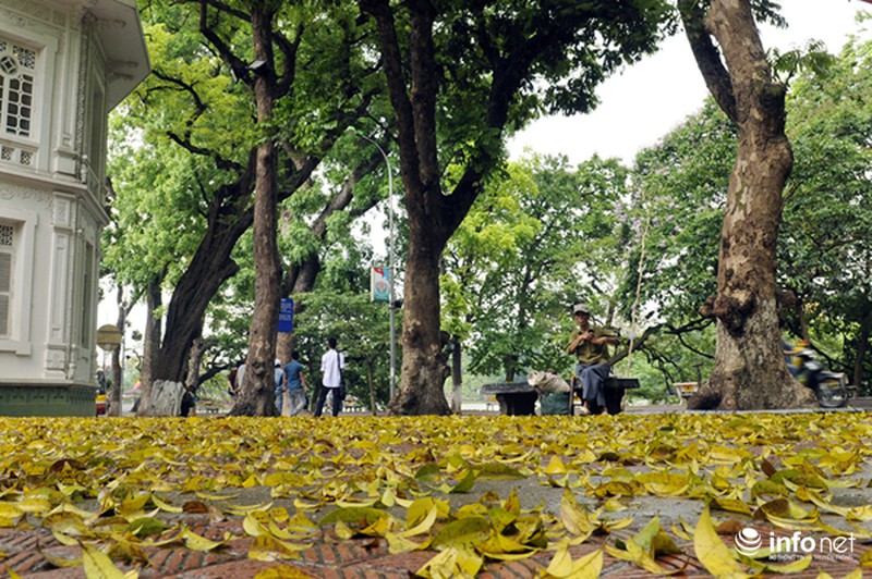 Du lịch Hà Nội: Thành phố đẹp dịu dàng mùa lá rụng - ảnh 3