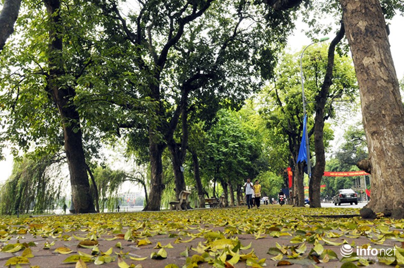 Du lịch Hà Nội: Thành phố đẹp dịu dàng mùa lá rụng - ảnh 5