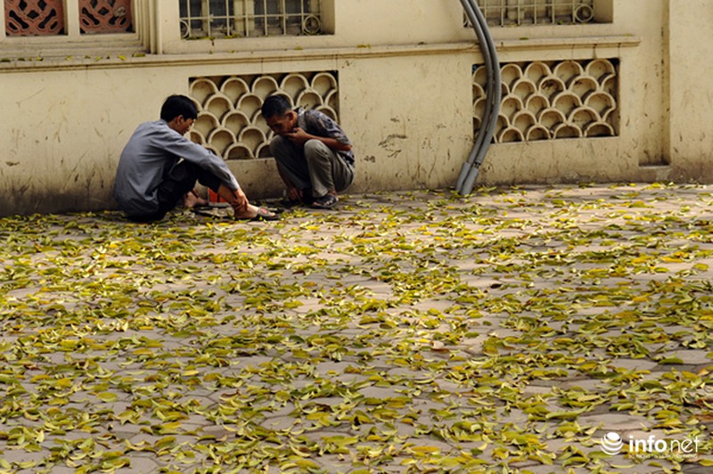 Du lịch Hà Nội: Thành phố đẹp dịu dàng mùa lá rụng - ảnh 6