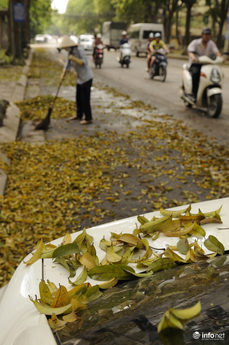 Du lịch Hà Nội: Thành phố đẹp dịu dàng mùa lá rụng - ảnh 7