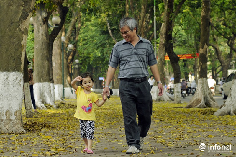 Du lịch Hà Nội: Thành phố đẹp dịu dàng mùa lá rụng - ảnh 9