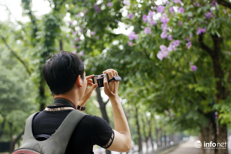 Hoa bằng lăng tím ngợp đường phố Hà Nội - ảnh 9