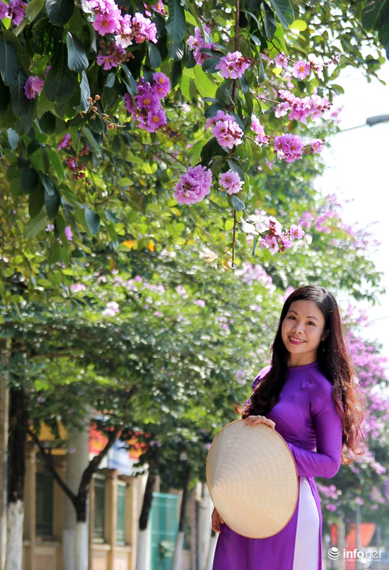 Hoa bằng lăng tím ngợp đường phố Hà Nội - ảnh 10