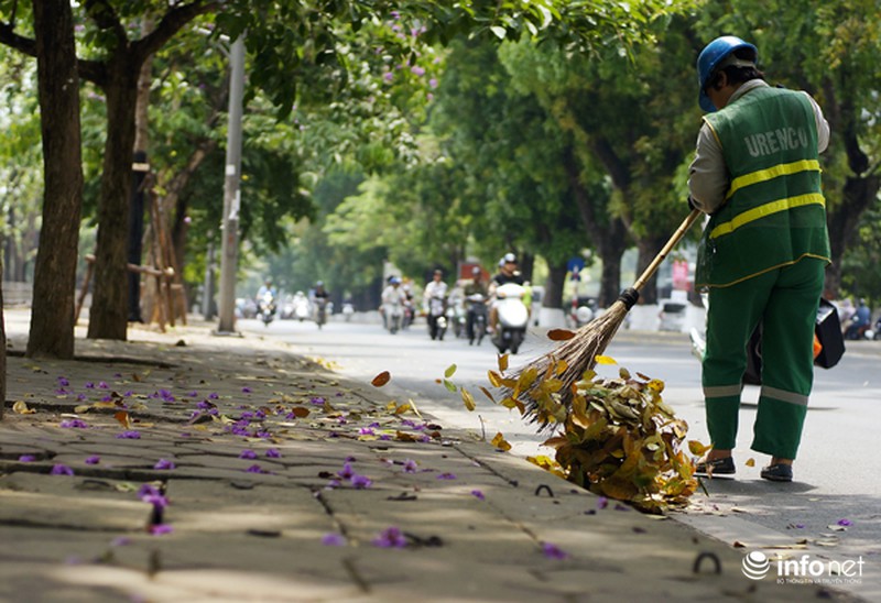 Hoa bằng lăng tím ngợp đường phố Hà Nội - ảnh 8