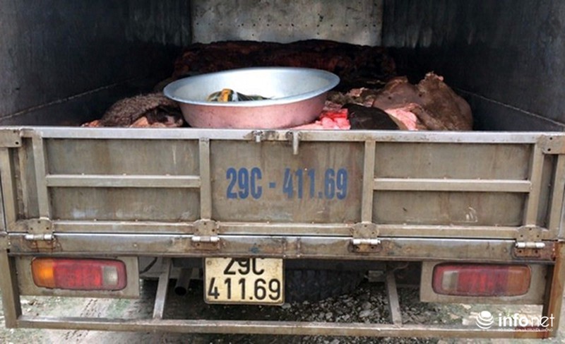 Bắt xe tải chở da trâu, bò bốc mùi hôi thối - ảnh 1