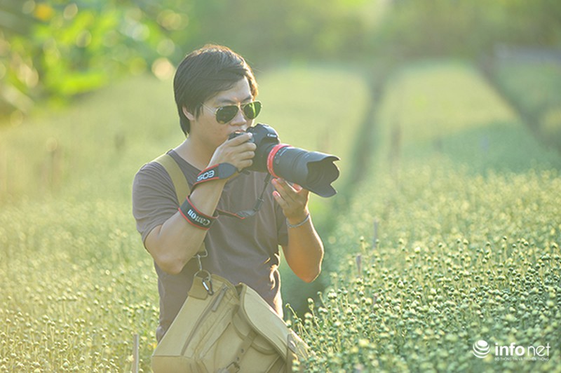 Thanh tao mùa cúc họa mi - ảnh 5