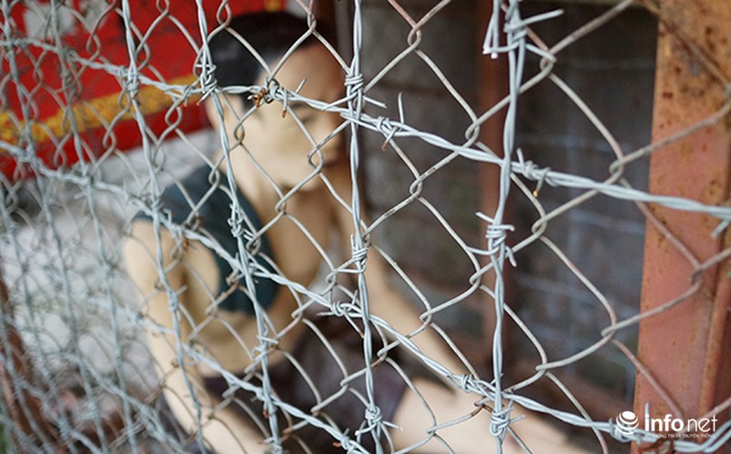 Người cựu binh già với những