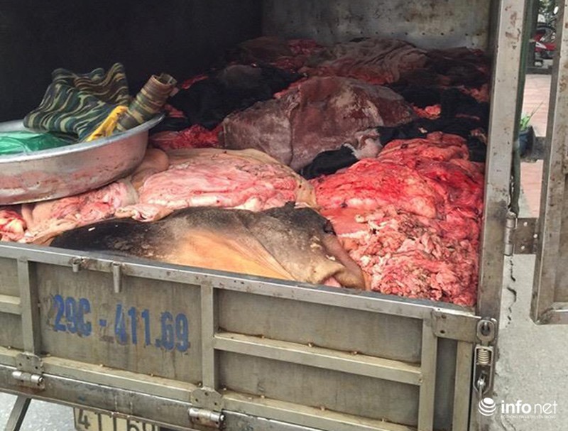 1 tấn da, nội tạng không nguồn gốc bị