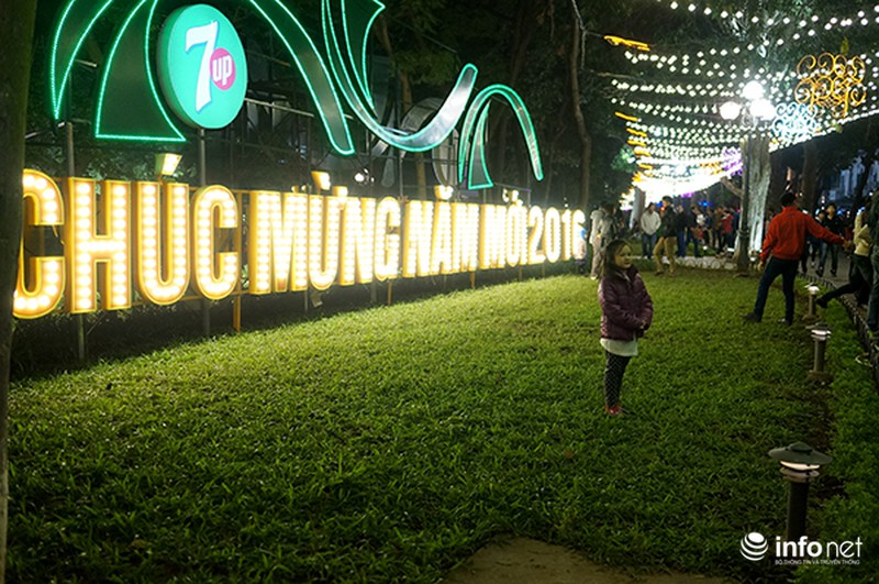 Hà Nội: Người dân dẫm lên thảm cỏ, vườn hoa chụp ảnh đêm giao thừa - ảnh 4