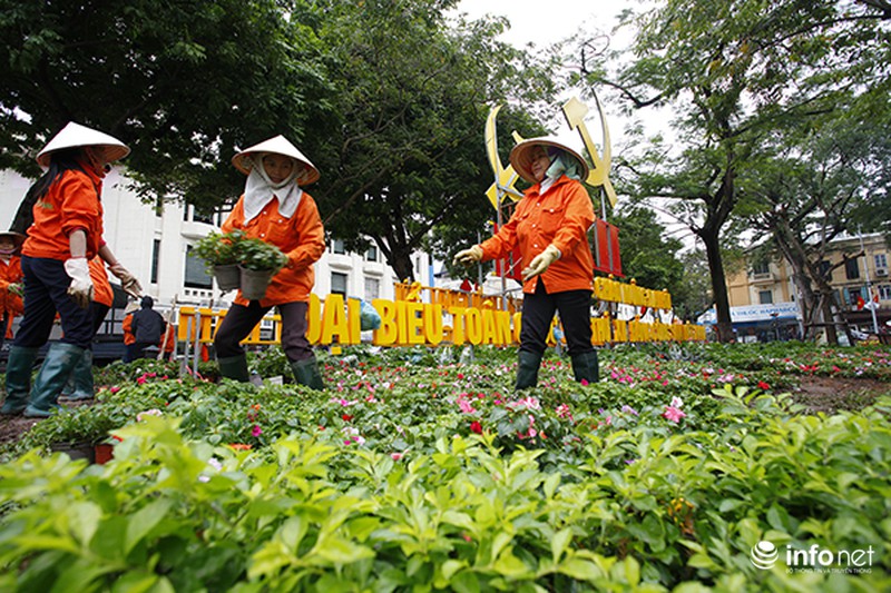 Những dàn đèn tiếp tục