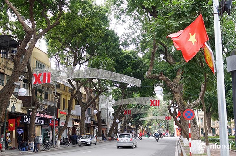 Những dàn đèn tiếp tục