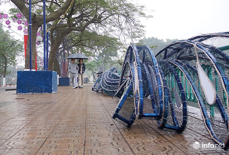 Những dàn đèn tiếp tục