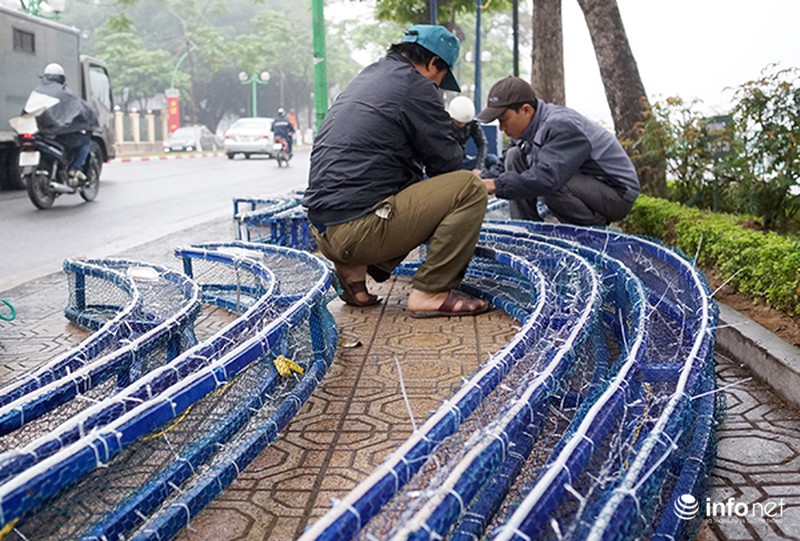 Những dàn đèn tiếp tục