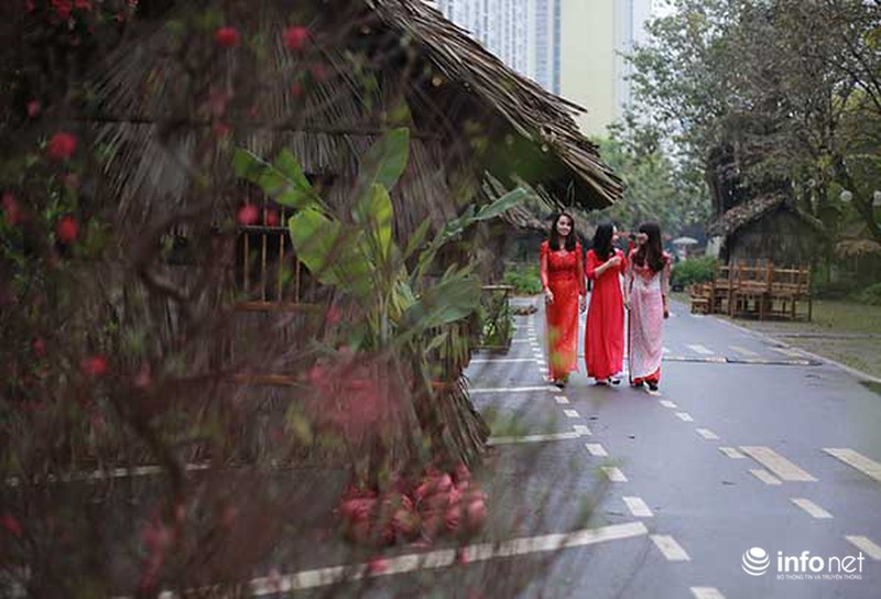 Lễ hội hoa Xuân lớn nhất miền Bắc tái hiện làng quê Việt - ảnh 1