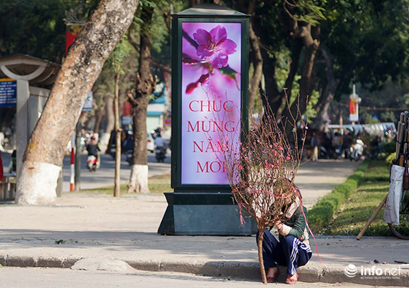 Ngày cuối năm rực nắng ở Hà Nội - ảnh 2