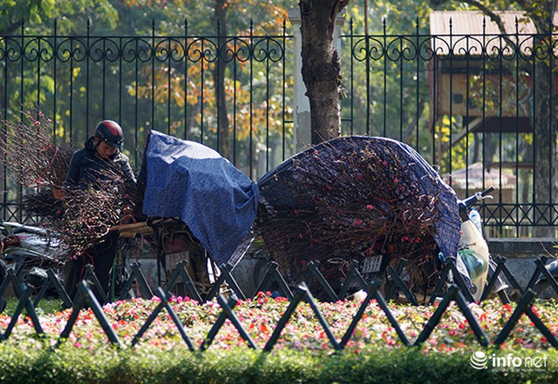 Ngày cuối năm rực nắng ở Hà Nội - ảnh 4