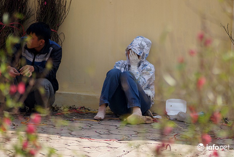 Ngày cuối năm rực nắng ở Hà Nội - ảnh 5