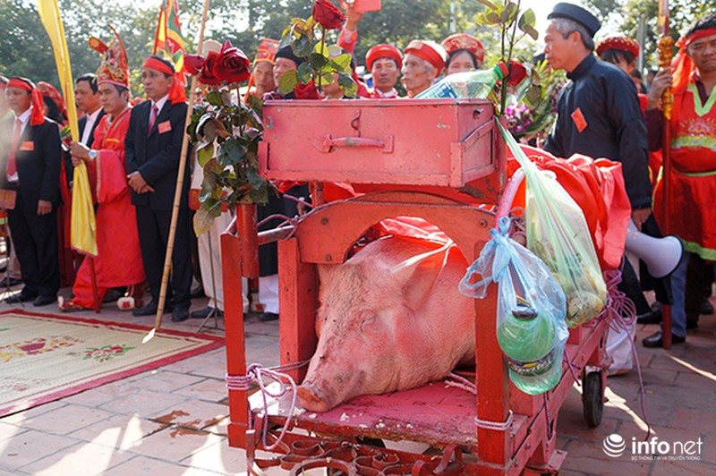 Chém lợn Ném Thượng: Giảm bạo lực nhưng vẫn thiếu tính nhân văn - ảnh 1