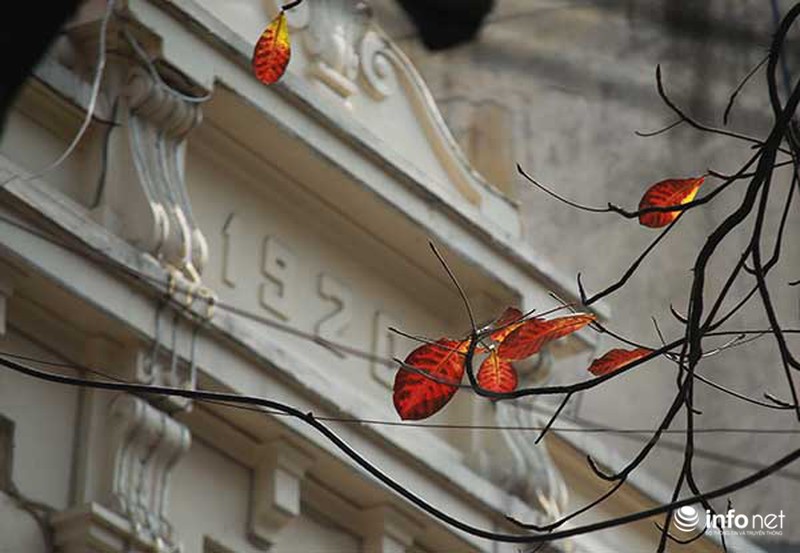 Hà Nội đẹp nao lòng trong dịp Lễ Tình yêu - ảnh 7