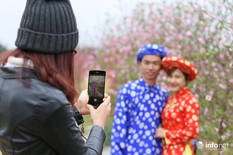 Hoa đào vẫn đẹp sau Tết - ảnh 6