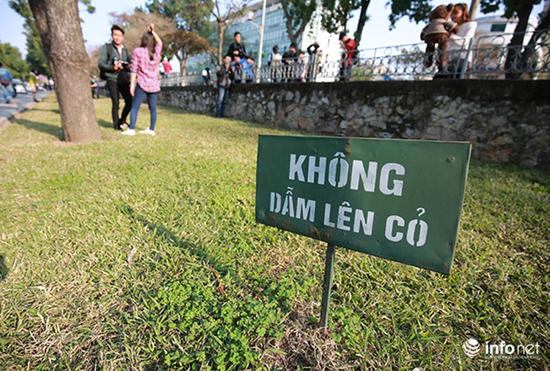 Hàng trăm bạn trẻ