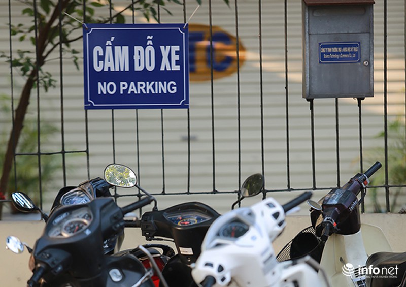 Hàng trăm bạn trẻ