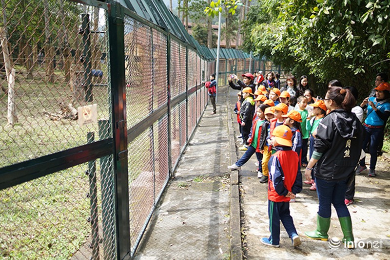 Trẻ em tìm hiểu cách bảo vệ gấu qua các trò chơi - ảnh 1