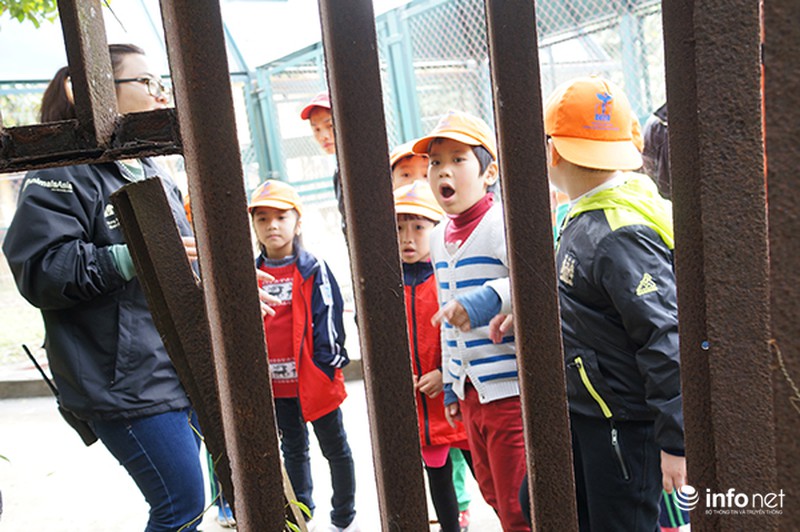 Trẻ em tìm hiểu cách bảo vệ gấu qua các trò chơi - ảnh 3