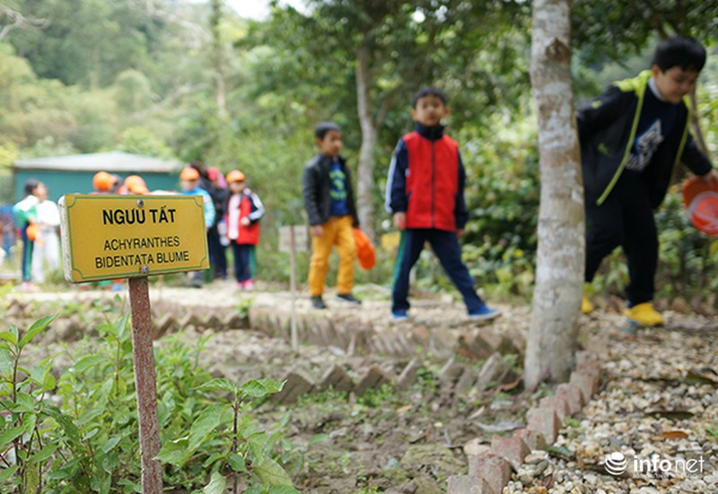 Trẻ em tìm hiểu cách bảo vệ gấu qua các trò chơi - ảnh 6