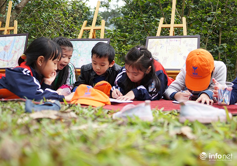 Trẻ em tìm hiểu cách bảo vệ gấu qua các trò chơi - ảnh 8