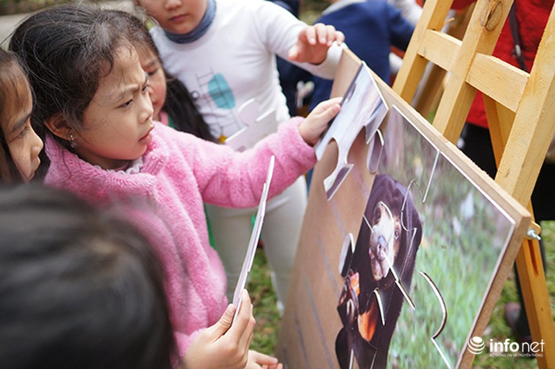 Trẻ em tìm hiểu cách bảo vệ gấu qua các trò chơi - ảnh 9