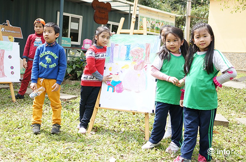 Trẻ em tìm hiểu cách bảo vệ gấu qua các trò chơi - ảnh 12