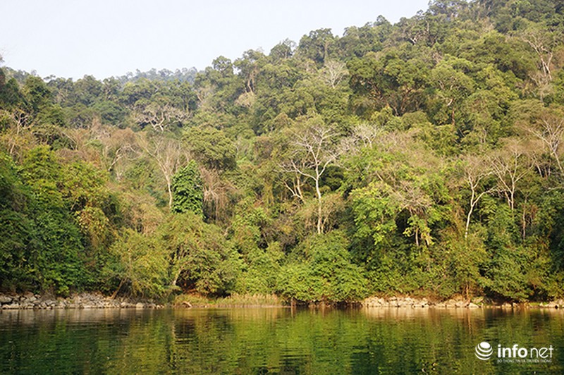 Vẻ đẹp nguyên thủy của hồ Ba Bể - ảnh 1