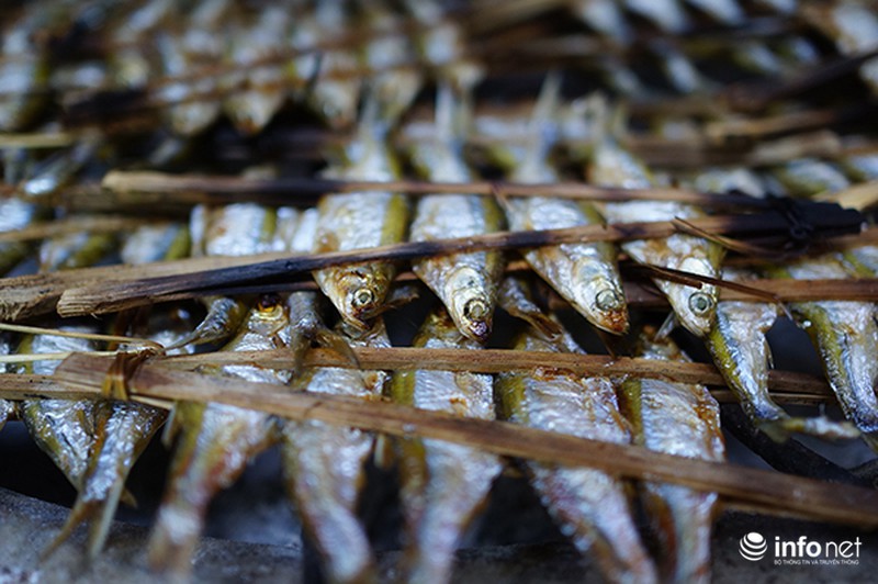 Vẻ đẹp nguyên thủy của hồ Ba Bể - ảnh 9