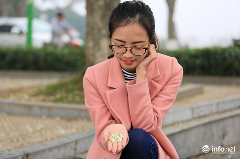 Những chú sóc thành phố thích thú với hoa sưa - ảnh 6