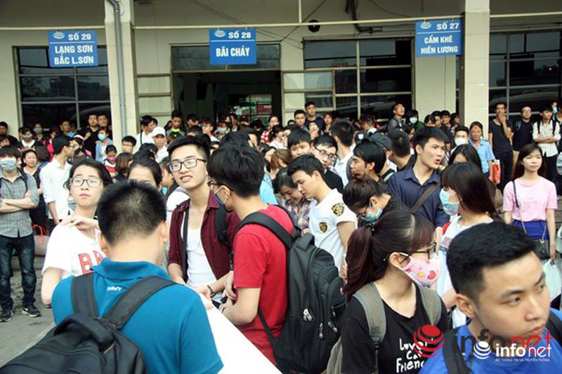 Truy tìm đối tượng nháy máy, lăng mạ đường dây nóng ATGT - ảnh 1