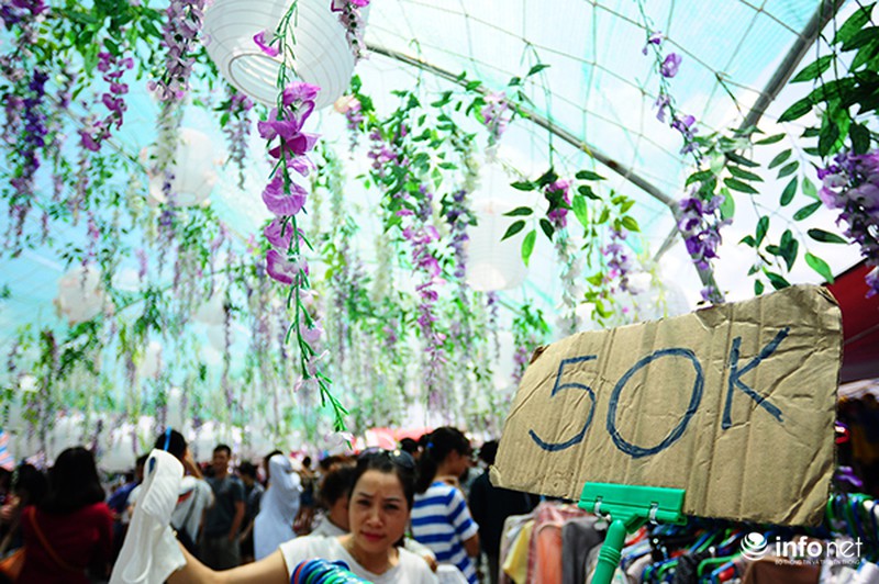 Thất vọng, bực tức khi đến Lễ hội hoa tử đằng - ảnh 8