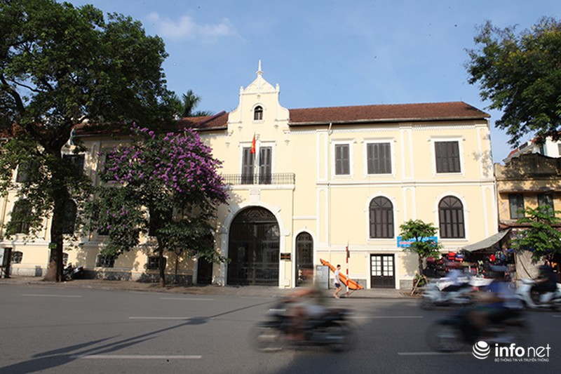 Ngắm sắc hoa bằng lăng tím trời Hà Nội - ảnh 2