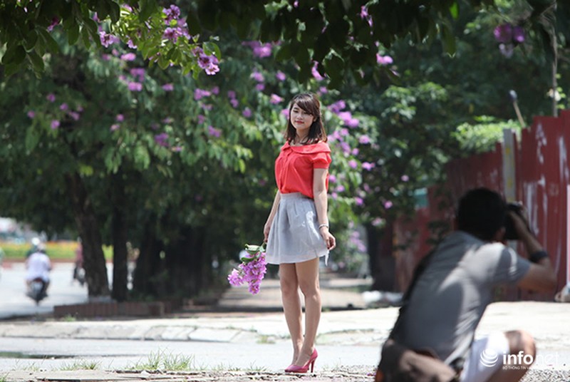 Ngắm sắc hoa bằng lăng tím trời Hà Nội - ảnh 8