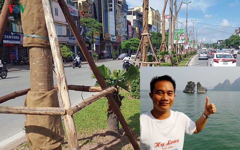 Chuyên gia Lào: Trồng phượng ở dải phân cách cũng tốt! - ảnh 1