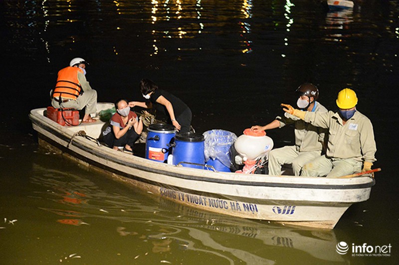 200 tấn cá chết ở Hồ Tây được đưa đi đâu? - ảnh 3