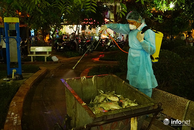 200 tấn cá chết ở Hồ Tây được đưa đi đâu? - ảnh 5