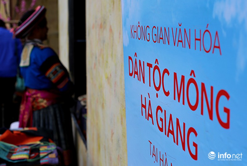 Ngắm hoa tam giác mạch giữa lòng Hà Nội - ảnh 5
