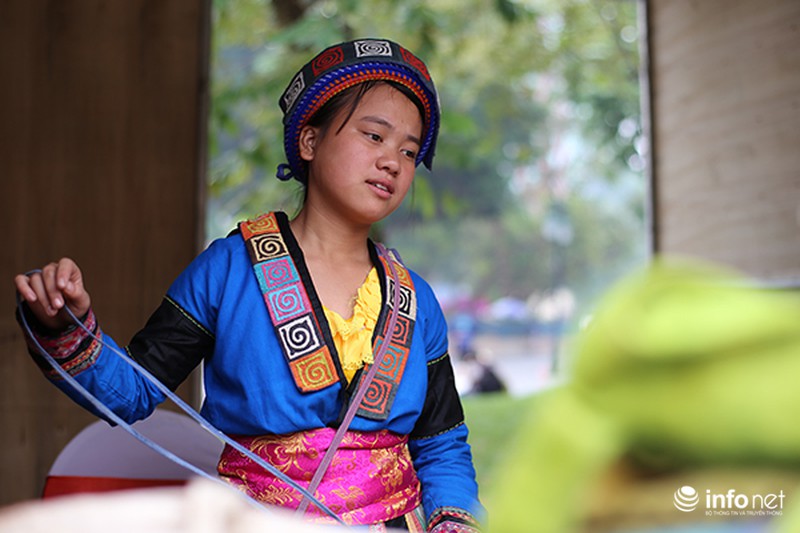 Ngắm hoa tam giác mạch giữa lòng Hà Nội - ảnh 7