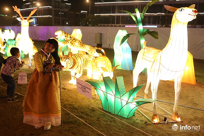 Mãn nhãn với lễ hội đèn lồng khổng lồ đầu tiên tại Việt Nam - ảnh 12