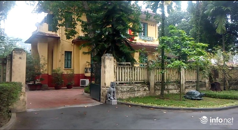 Cá thể cầy Vòi Hương lạc vườn nhà cố Đại Tướng Võ Nguyên Giáp được cứu giúp - ảnh 1