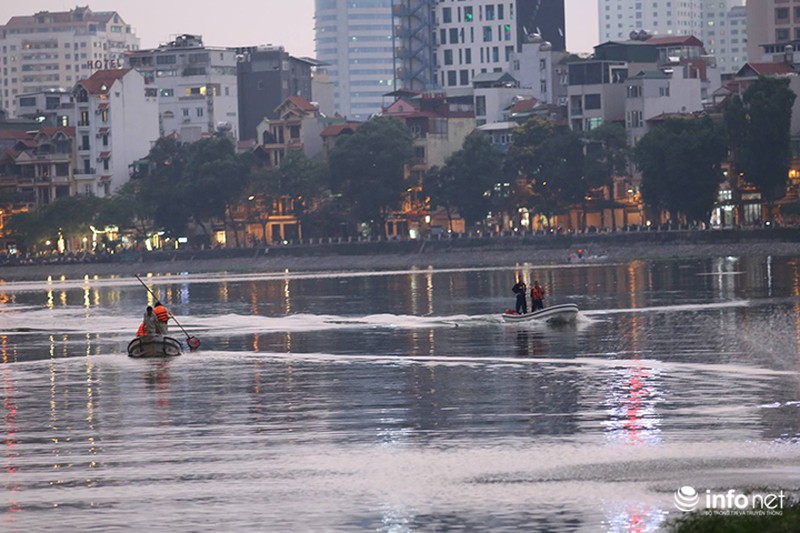 Hà Nội: Sau đúng 1 năm, cá lại chết trắng mặt hồ Hoàng Cầu - ảnh 1