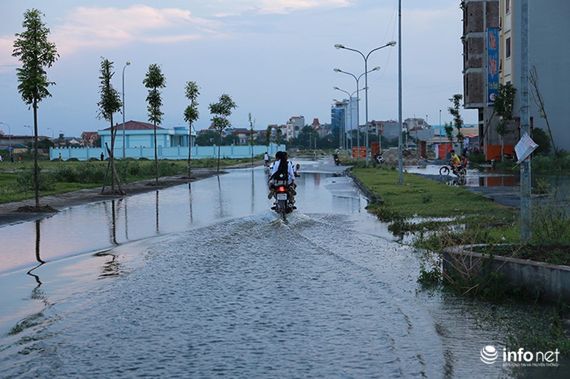 Đường ngập thành sông giữa Thủ đô, người dân mua vịt về...chăn thả - ảnh 4